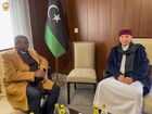 Chad announces plans to open consulates in Benghazi, Sabha, and Kufra, and to establish a direct flight route to Libya.
