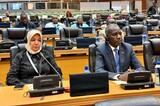 Members of the HoR participate in the parliamentary dialogue between Africa and Europe.