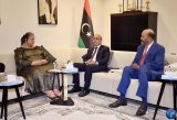 The UN mission briefs the Presidential Council on developments in local and international political consultations