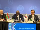 South Korea holds talks with African countries.