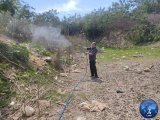 Spraying campaign to combat flying and crawling insects in Tajora.