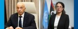 Khoury discusses with Aguila Saleh ways to move forward with the political roadmap.