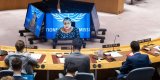 Tetteh: The UN mission will be forced to adopt a different approach if the House of (…)