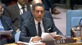 Libya's Permanent Representative to the United Nations: Libya's cooperation with the (…)