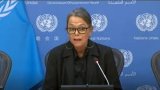 Guterres appoints Sweden's Richardson as his new Resident Coordinator and Deputy Special (…)