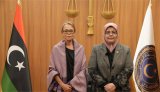 The Minister of Justice meets with UN Deputy Special Representative.